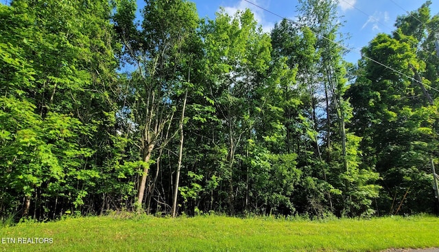 Norris View Ln, Lafollette, TN 37766