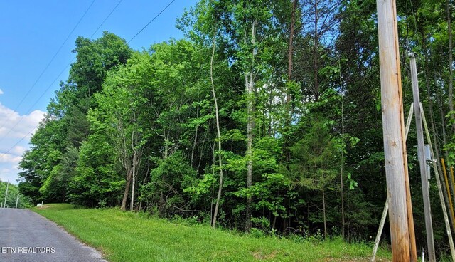 Norris View Ln, Lafollette, TN 37766