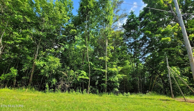 Norris View Ln, Lafollette, TN 37766