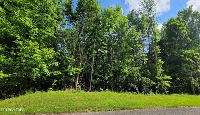 Norris View Ln, Lafollette, TN 37766