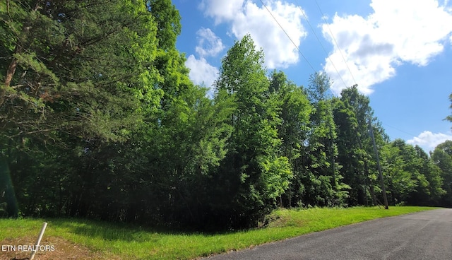Norris View Ln, Lafollette, TN 37766
