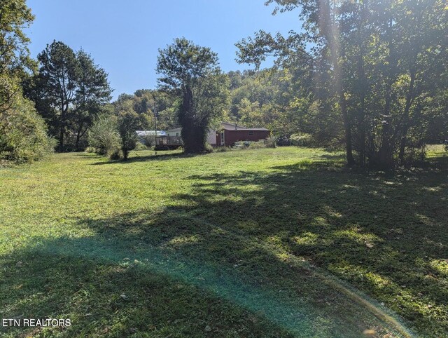 626 S 22nd St, Middlesboro, KY 40965 - view of grassy yard with a forest view