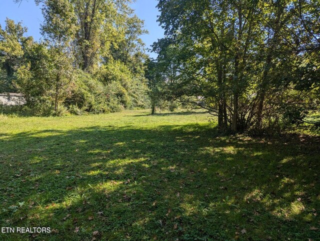 626 S 22nd St, Middlesboro, KY 40965 - view of green lawn