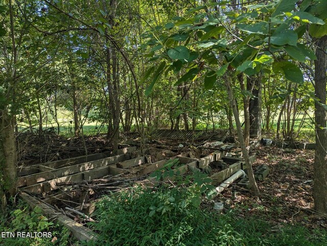 626 S 22nd St, Middlesboro, KY 40965 - view of undeveloped land