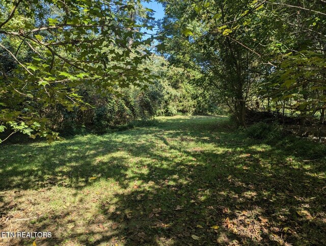 626 S 22nd St, Middlesboro, KY 40965 - view of green lawn with a forest view