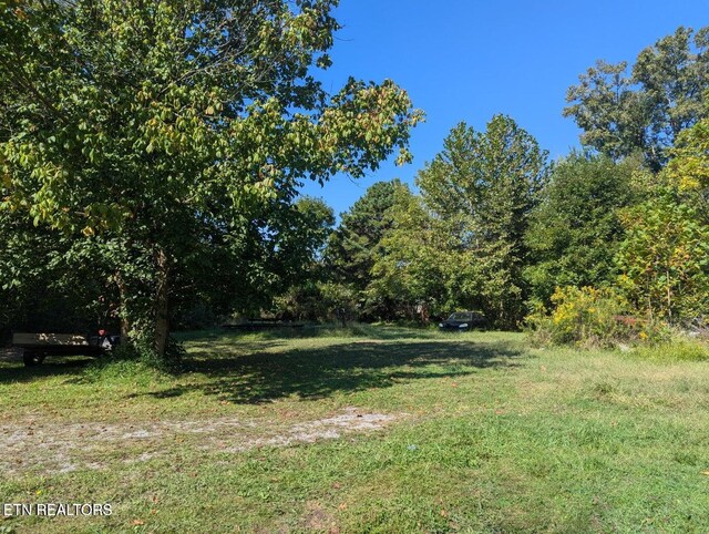 626 S 22nd St, Middlesboro, KY 40965 - view of green lawn