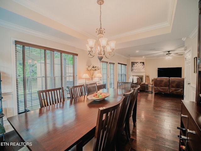 1201 Bentley Park Ln, Knoxville, TN 37922 - dining area featuring a chandelier, dark wood finished floors, a tray ceiling, ornamental molding, and a ceiling fan