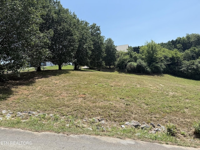 135 Marble Bluff Dr, Kingston, TN 37763 - photo 23
