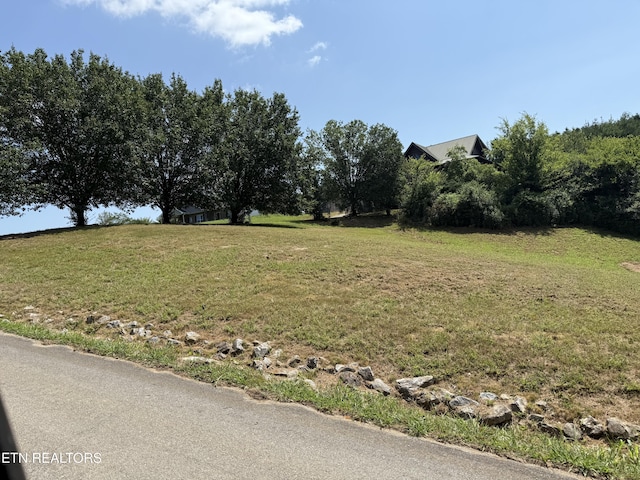 135 Marble Bluff Dr, Kingston, TN 37763 - photo 24