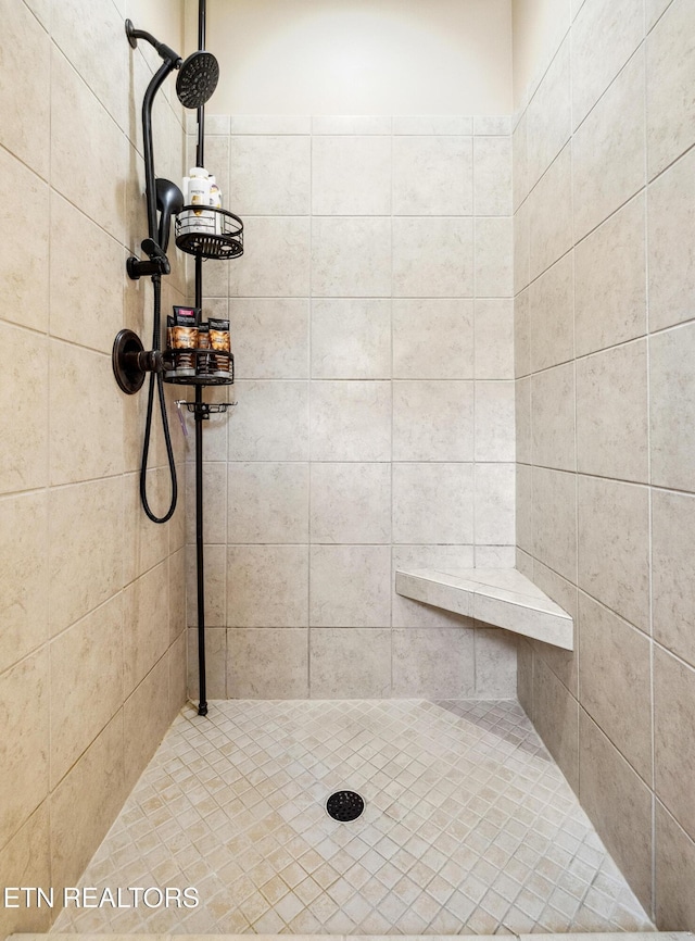 1636 Stone Harbor Blvd, Lenoir City, TN 37772 - bathroom featuring tiled shower