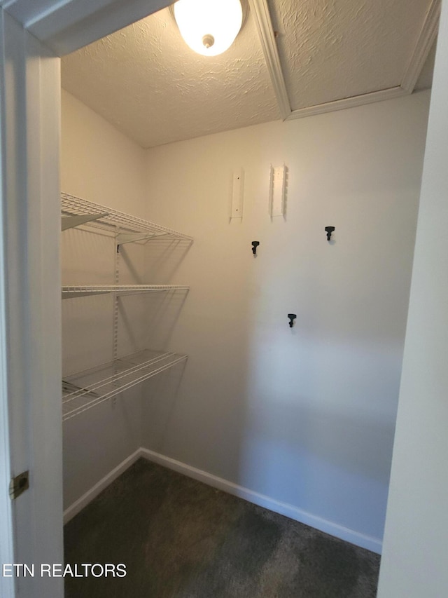 4121 Briggs Loop, Kodak, TN 37764 - spacious closet with dark colored carpet