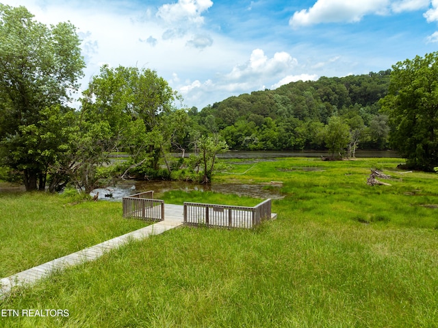 LOT12 Holston Shores Dr, Rutledge, TN 37861