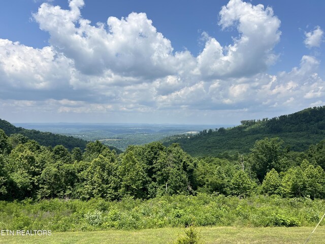 3385 Double Top Rd, Byrdstown, TN 38549 - view of mountain backdrop with a forest