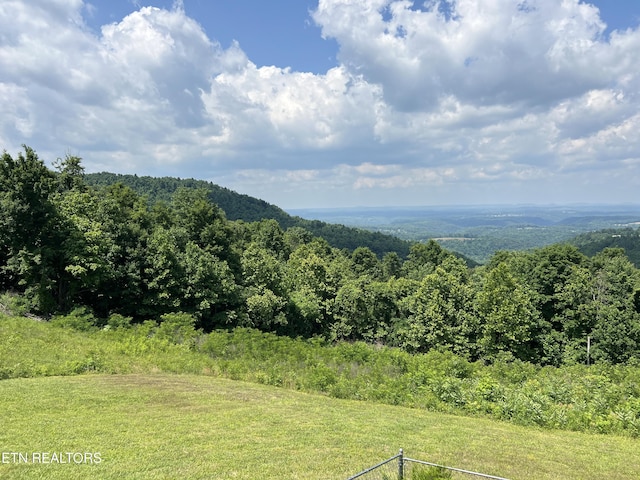 3385 Double Top Rd, Byrdstown, TN 38549 - view of mountain background featuring a forest