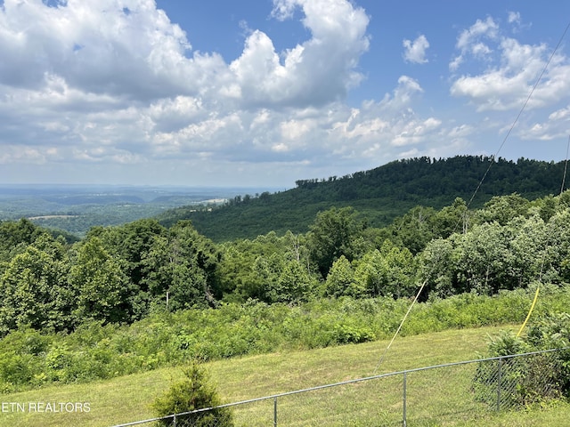 3385 Double Top Rd, Byrdstown, TN 38549 - view of mountain backdrop with a heavily wooded area