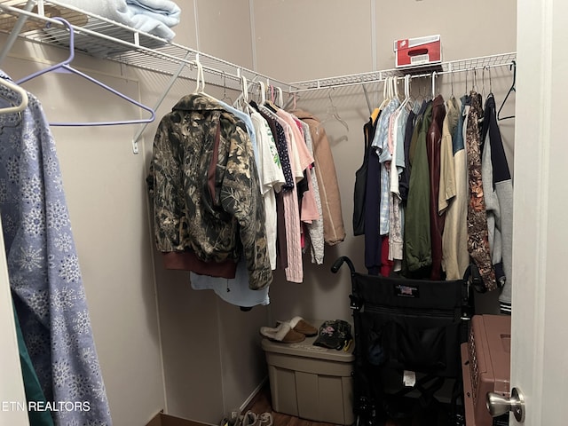 3385 Double Top Rd, Byrdstown, TN 38549 - view of spacious closet