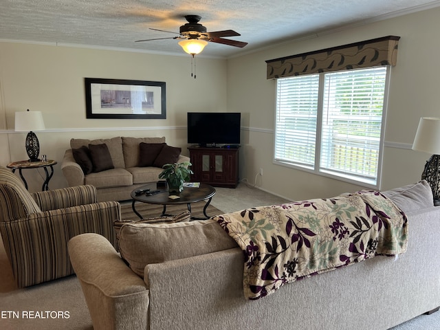3385 Double Top Rd, Byrdstown, TN 38549 - living area with carpet floors, a ceiling fan, ornamental molding, and a textured ceiling