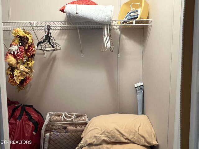 3385 Double Top Rd, Byrdstown, TN 38549 - view of walk in closet