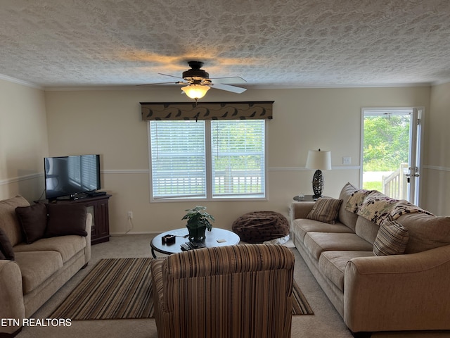 3385 Double Top Rd, Byrdstown, TN 38549 - living room with carpet, ceiling fan, a textured ceiling, and ornamental molding
