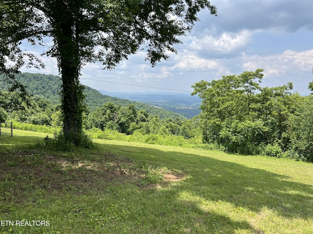 3385 Double Top Rd, Byrdstown, TN 38549 - view of mountain background featuring a forest