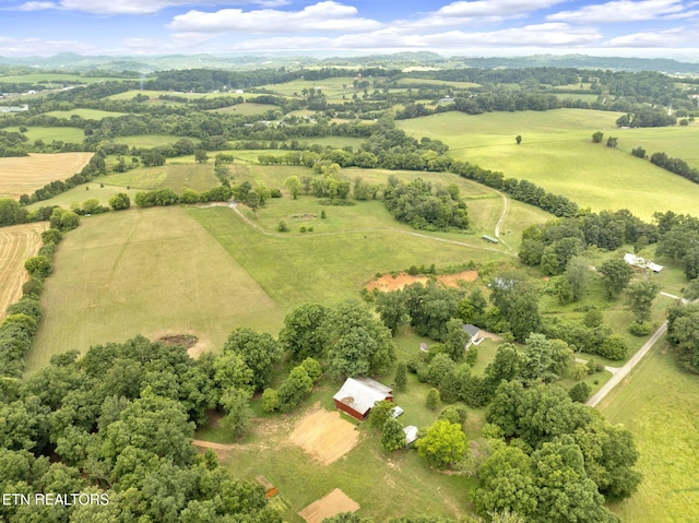 1547 Salem Rd, Greenback, TN 37742 - photo 3