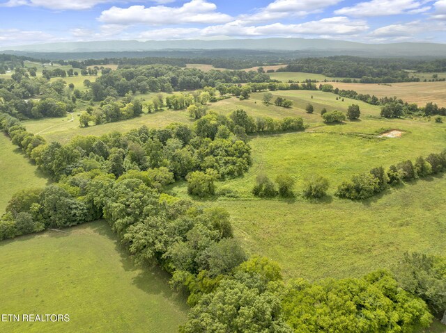 1547 Salem Rd, Greenback, TN 37742 - photo 13