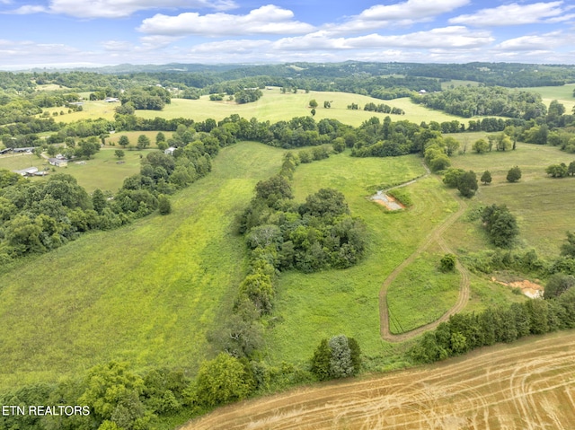 1547 Salem Rd, Greenback, TN 37742 - photo 15