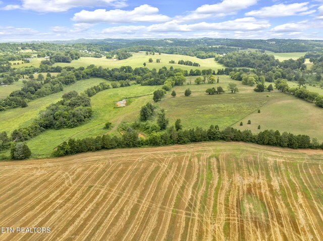 1547 Salem Rd, Greenback, TN 37742 - photo 16