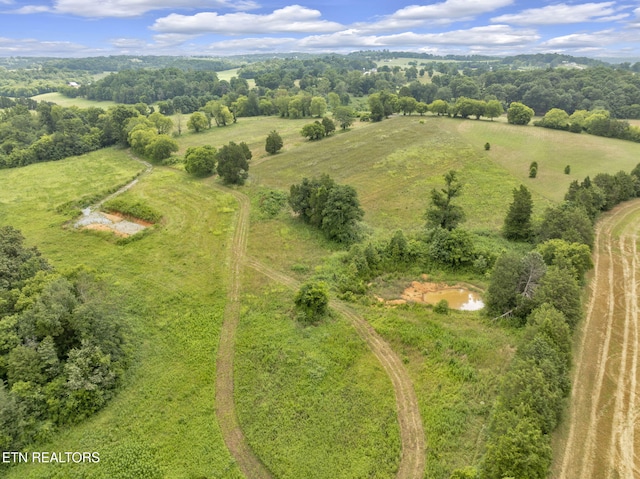 1547 Salem Rd, Greenback, TN 37742 - photo 17