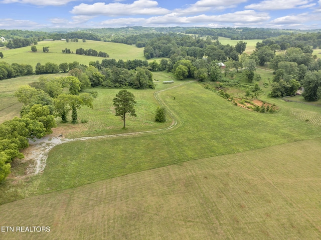 1547 Salem Rd, Greenback, TN 37742 - photo 18