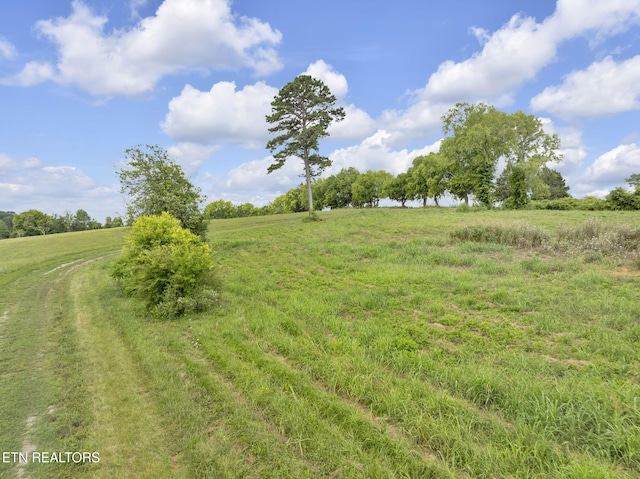 1547 Salem Rd, Greenback, TN 37742 - photo 20