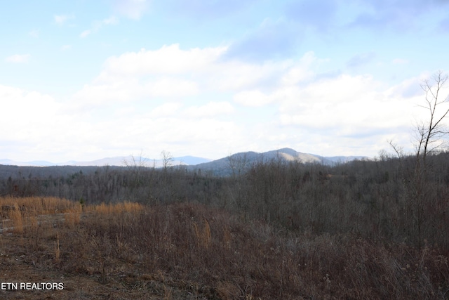 840 Ali Ln, Pvt, Huntsville, TN 37756 - mountain view