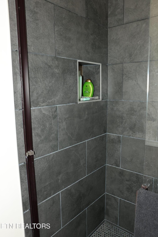 840 Ali Ln, Pvt, Huntsville, TN 37756 - full bath with tiled shower