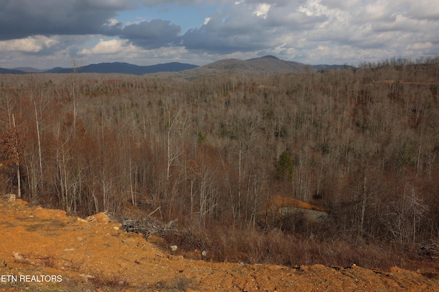 840 Ali Ln, Pvt, Huntsville, TN 37756 - view of mountain backdrop featuring a heavily wooded area