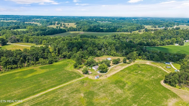168 Boatman Rd, Cookeville, TN 38506 - drone / aerial view