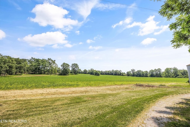 168 Boatman Rd, Cookeville, TN 38506 - view of green lawn featuring a rural view