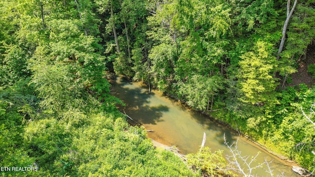 168 Boatman Rd, Cookeville, TN 38506 - bird's eye view