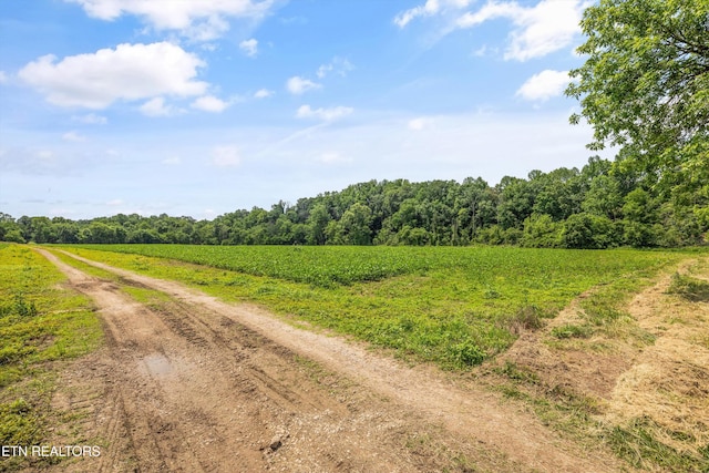 168 Boatman Rd, Cookeville, TN 38506 - view of dirt / gravel road featuring a view of countryside and a forest view