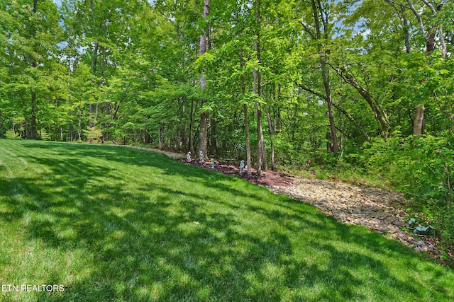 247 Thrushwood Dr, Fairfield Glade, TN 38558 - view of grassy yard featuring a forest view