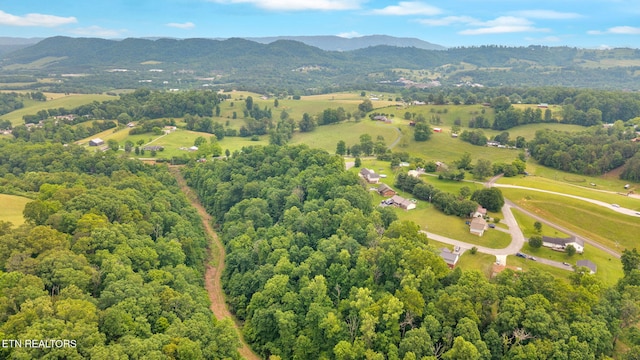Della Ln, Tazewell, TN 37879 - photo 7