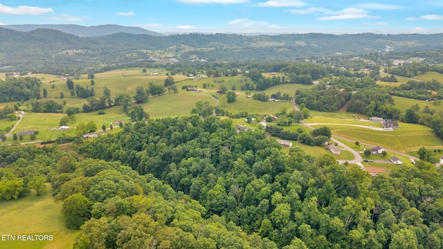 Della Ln, Tazewell, TN 37879 - photo 8