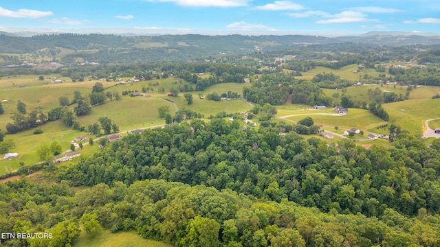 Della Ln, Tazewell, TN 37879 - photo 9