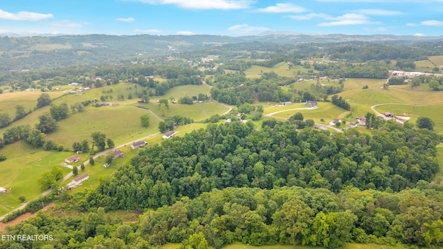 Della Ln, Tazewell, TN 37879 - photo 10
