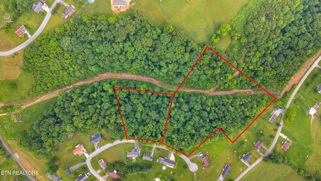 Della Ln, Tazewell, TN 37879 - photo 2