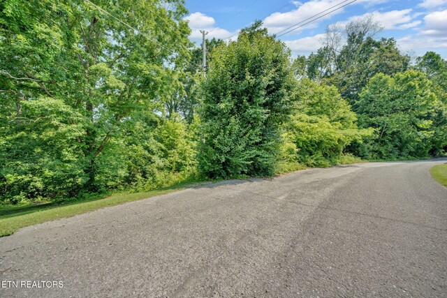 Della Ln, Tazewell, TN 37879 - photo 18