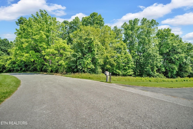 Della Ln, Tazewell, TN 37879 - photo 19