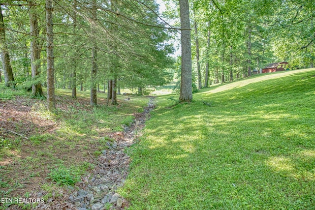 260 Fate Ivy Rd, Monterey, TN 38574 - photo 26