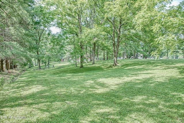 260 Fate Ivy Rd, Monterey, TN 38574 - photo 27