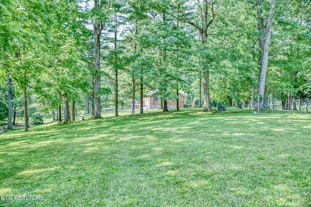 260 Fate Ivy Rd, Monterey, TN 38574 - photo 28