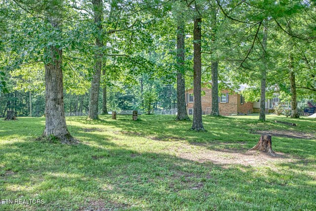 260 Fate Ivy Rd, Monterey, TN 38574 - photo 29